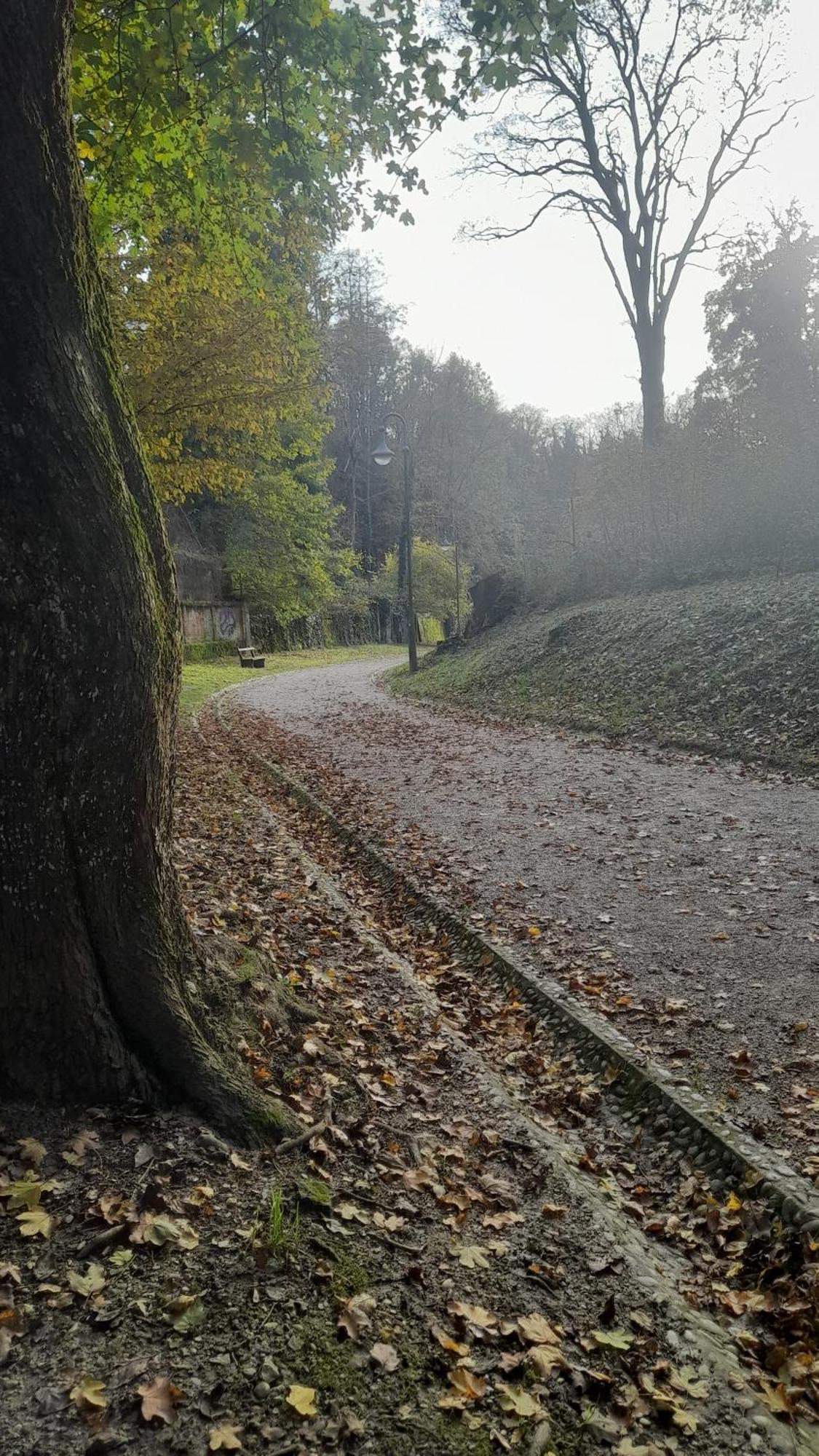 M4You Zagreb Dış mekan fotoğraf